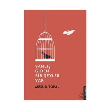 Yanlış Giden Bir Şeyler Var - Mesud Topal