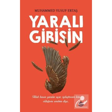 Yaralı Gibisin - Muhammed Yusuf Ertaş