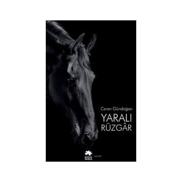 Yaralı Rüzgar - Ceren Gündoğan