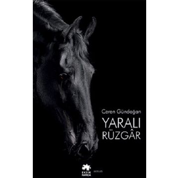 Yaralı Rüzgar - Eksik Parça Yayınları