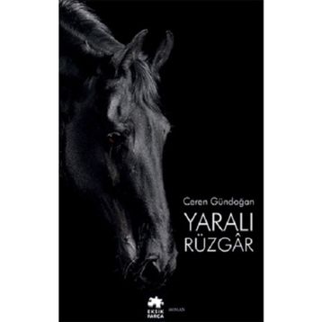 Yaralı Rüzgar - Eksik Parça Yayınları