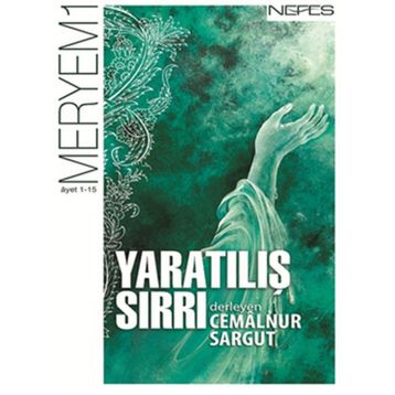 YARATILIŞ SIRRI - TOM KNOX