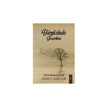 Yaryüzünde Gezerken - Özbey Sağlam