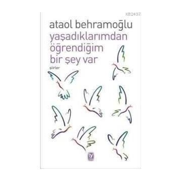 YAŞADIKLARIMDAN ÖĞRENDİĞİM BIR ŞEY VAR - ATAOL BEHRAMOĞLU