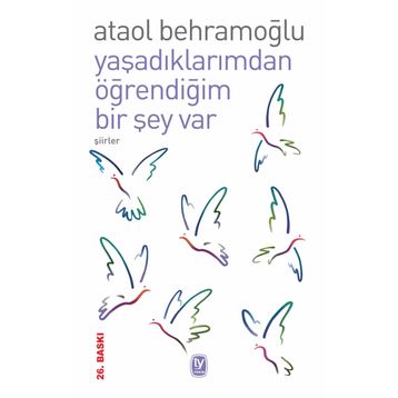 YAŞADIKLARIMDAN ÖĞRENDİĞİM BIR ŞEY VAR - ATAOL BEHRAMOĞLU