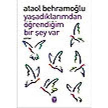 YAŞADIKLARIMDAN ÖĞRENDİĞİM BIR ŞEY VAR - ATAOL BEHRAMOĞLU
