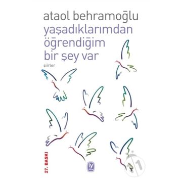 YAŞADIKLARIMDAN ÖĞRENDİĞİM BIR ŞEY VAR - ATAOL BEHRAMOĞLU