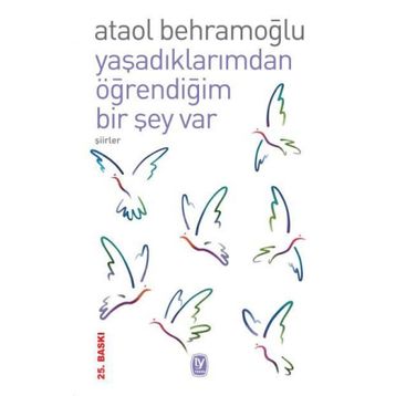 YAŞADIKLARIMDAN ÖĞRENDİĞİM BIR ŞEY VAR - ATAOL BEHRAMOĞLU