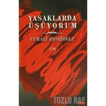 Yasaklarda Üşüyorum - Cumali Eşsizoğlu