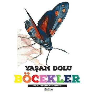 Yaşam Dolu Böcekler - Kolektif