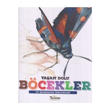 Yaşam Dolu Böcekler - Kolektif