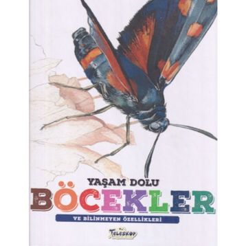 Yaşam Dolu Böcekler - Kolektif