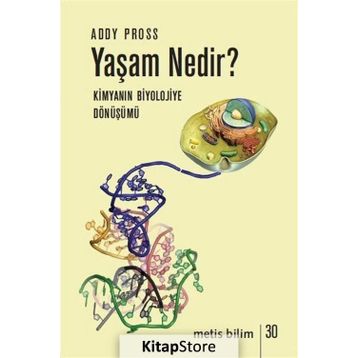 Yaşam Nedir? - Addy Pross