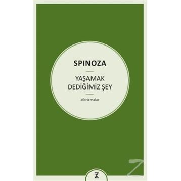 Yaşamak Dediğimiz Şey - Benedictus Spinoza