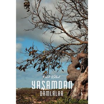 Yaşamdan Damlalar - Halit Katkat