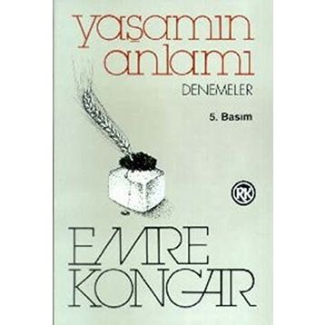 Yaşamın Anlamı - lev nikolayevich tolstoy