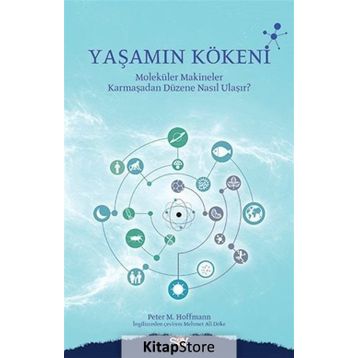 Yaşamın Kökeni - Peter M. Hoffmann