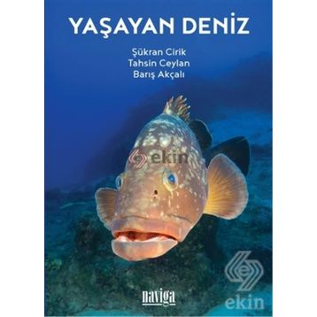 Yaşayan Deniz - Şükran Cirik Tahsin Ceylan Barış Akçalı