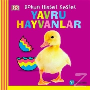 YAVRU HAYVANLAR - KOLEKTIF