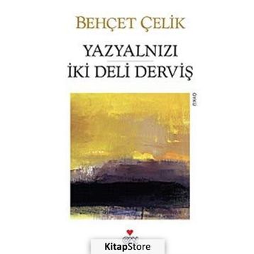 YAZYALNIZI İKİ DELI DERVİŞ - BEHÇET ÇELİK