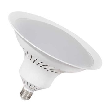 Ycl YL-220G 22W E27 Papatya Günışığı Led Ampul