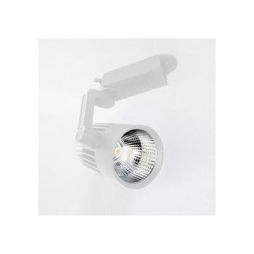 Ycl YRS-205B 30W Led Ray Spot