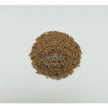 Yelken 100 gr Hardal Tohumu