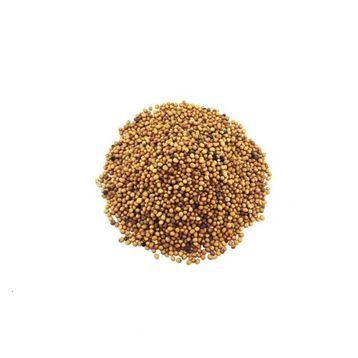 Yelken 100 gr Hardal Tohumu