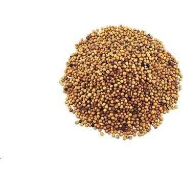 Yelken 100 gr Hardal Tohumu