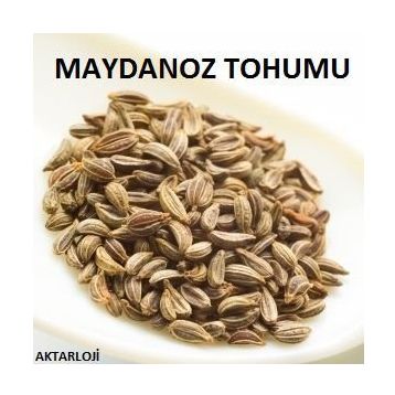 Yelken 100 gr Maydanoz Tohumu