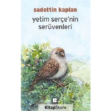 YETIM SERÇE'NIN SERÜVENI - SADETTIN KAPLAN