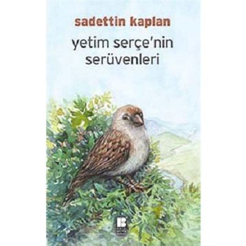 Yetim Serçe'nin Serüvenleri - Sadettin Kaplan