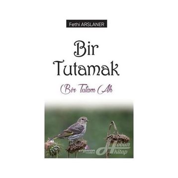 Yıldız 2601 Tutamak