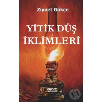 Yitik Düş İklimleri - Ziynet Gökçe