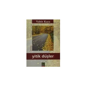 YITIK DÜŞLER - GENEL