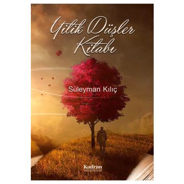 Yitik Düşler Kitabı - Süleyman Kılıç