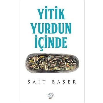 Yitik Yurdun İçinde - Sait Başer