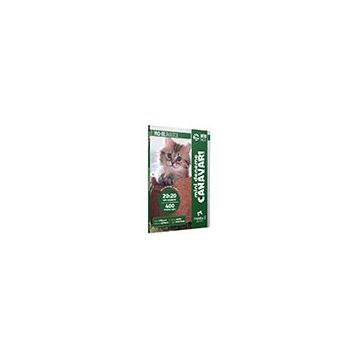 YKS DİL IntroPack 20x20 Mini Deneme Canavarı Modadil Yayınları