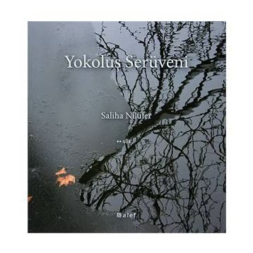 Yokoluş Serüveni - Saliha Nilüfer