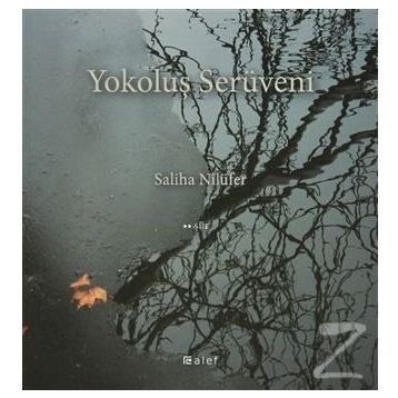 Yokoluş Serüveni - Saliha Nilüfer