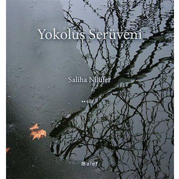 Yokoluş Serüveni - Saliha Nilüfer