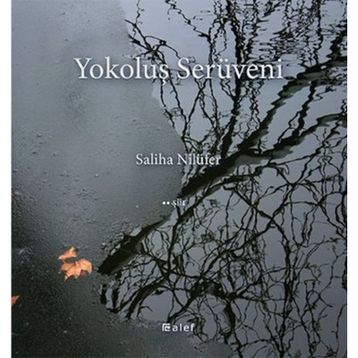 Yokoluş Serüveni - Saliha Nilüfer
