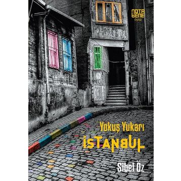 Yokuş Yukarı İstanbul - Sibel Öz