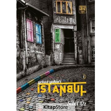 Yokuş Yukarı İstanbul - Sibel Öz