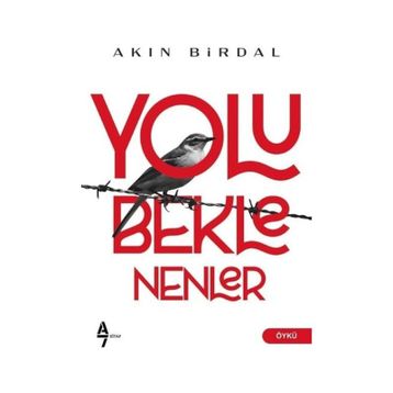 Yolu Beklenenler - Akın Birdal