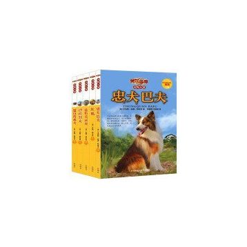 Yorumluyorum – 5 - Ersan Şen