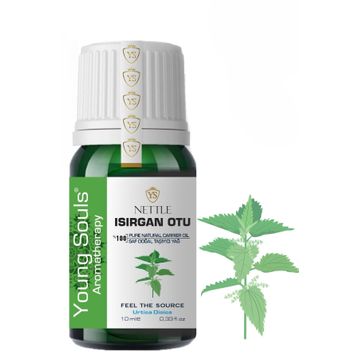 Young Souls 10 ml Aromaterapi Isırgan Otu Bitkisel Sabit Yağ