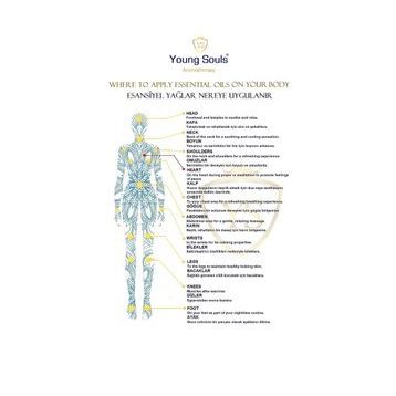 Young Souls 50 ml Aromaterapi Kayısı Çekirdeği (Bitkisel Sabit) Yağ