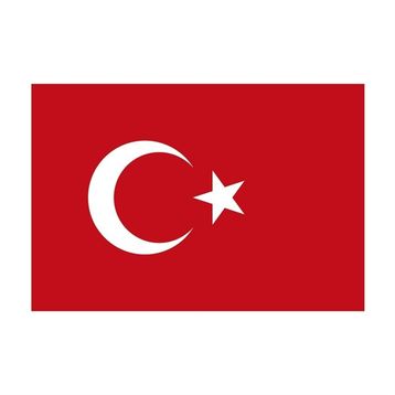 Yükselen 100x150 Bayrak