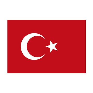 Yükselen 100x150 Bayrak